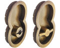Hafele OTTO Kayar k.kilidi WC a.bronz 50/16mm
