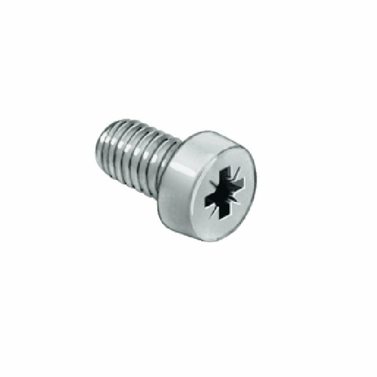 Hafele Silindir başlı vida galv.M6x10mm